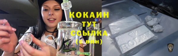 соль ск Зеленодольск