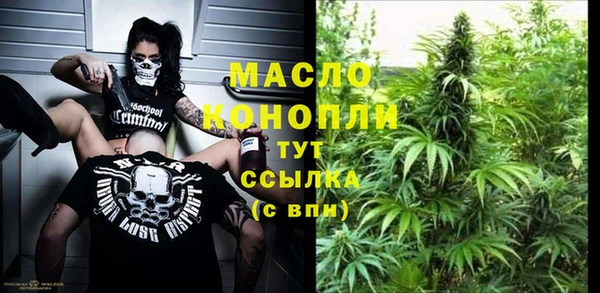твердый Инта