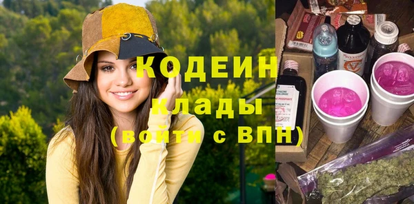 твердый Инта