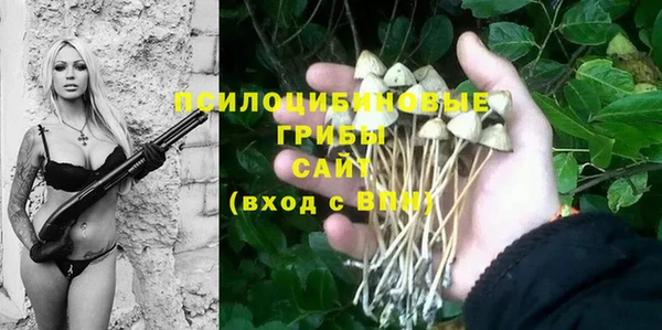соль ск Зеленодольск