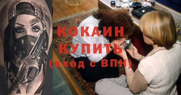 твердый Инта