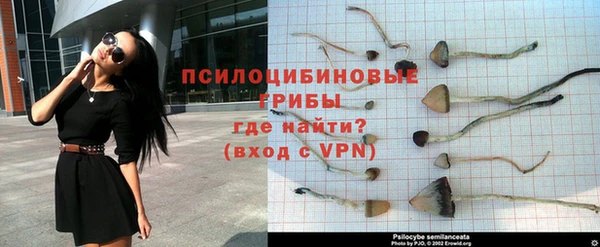 соль ск Зеленодольск