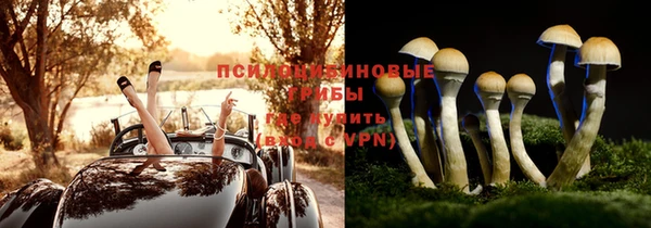 ALPHA PVP Иннополис